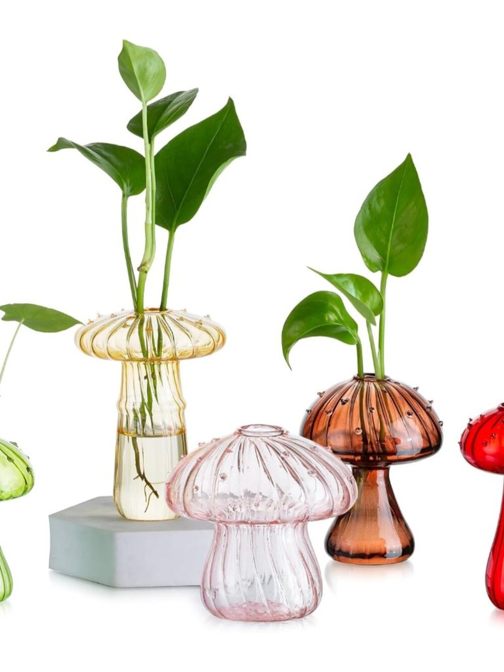Mushroom Plant Propagation Station: 5pcs Colored Glass Mini Terrarium For Plants